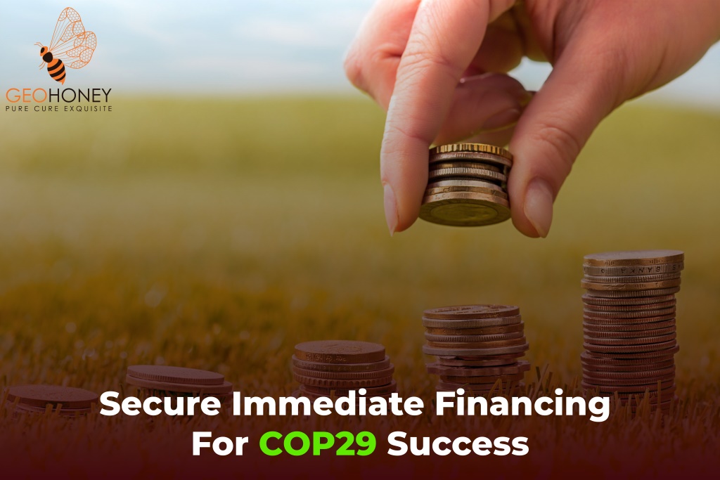 Securing Immediate Financing for COP29 Success